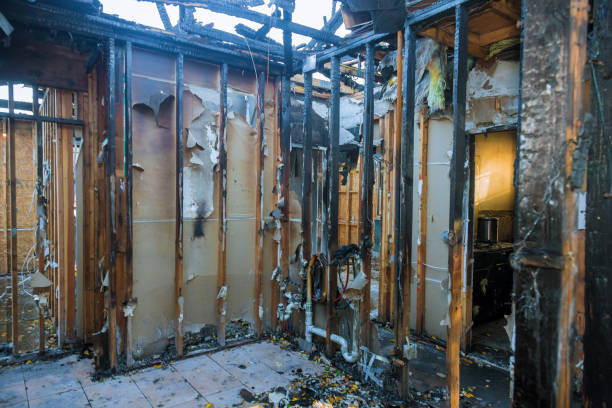Professional Smoke Damage Removal technician working in Heceta Beach, OR